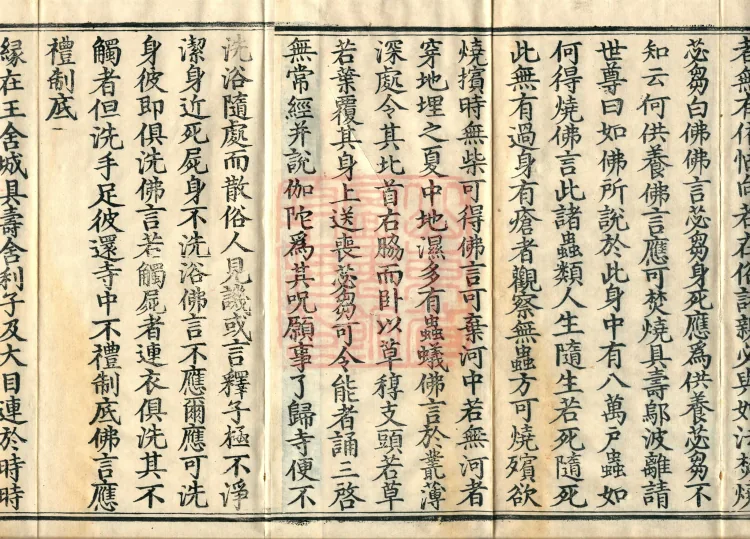 Fundamental Sarvāstivāda Vinaya Miscellany in Forty Volumes Page 3