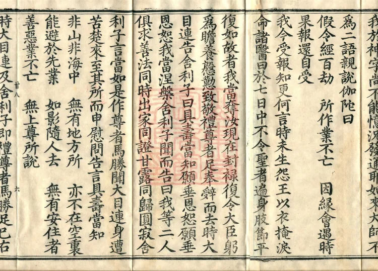 Fundamental Sarvāstivāda Vinaya Miscellany in Forty Volumes Page 10