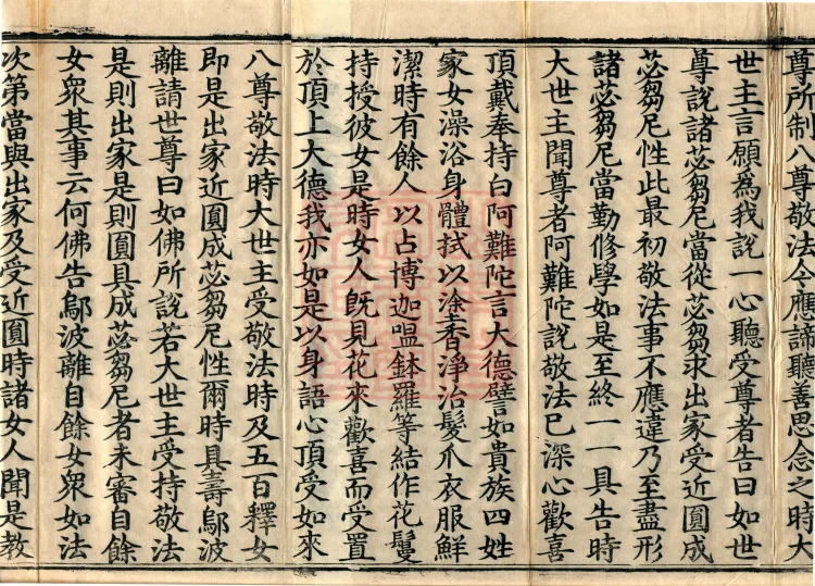 Fundamental Sarvāstivāda Vinaya Miscellany in Forty Volumes Page 3