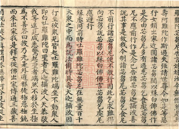 Fundamental Sarvāstivāda Vinaya Miscellany in Forty Volumes Page 5