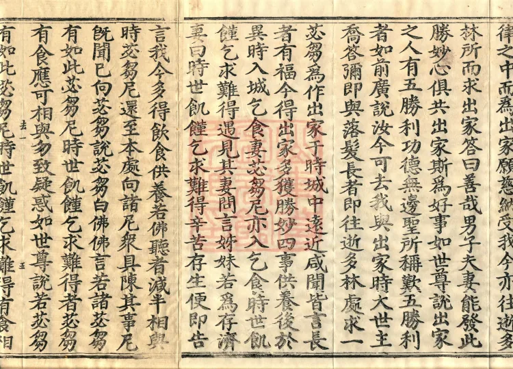 Fundamental Sarvāstivāda Vinaya Miscellany in Forty Volumes Page 10