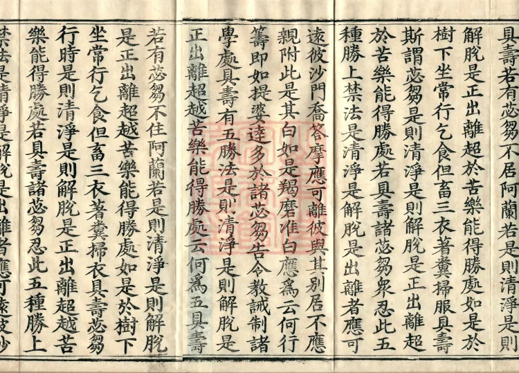 Root Exposition of the Sarvāstivāda Vinaya: Breaking Monastic Matters, Twenty Volumes Page 5