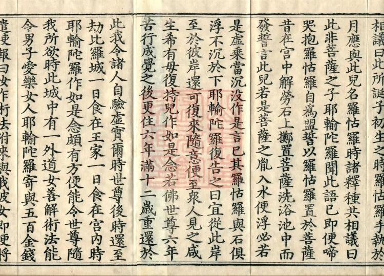 Root Exposition of the Sarvāstivāda Vinaya: Breaking Monastic Matters, Twenty Volumes Page 3