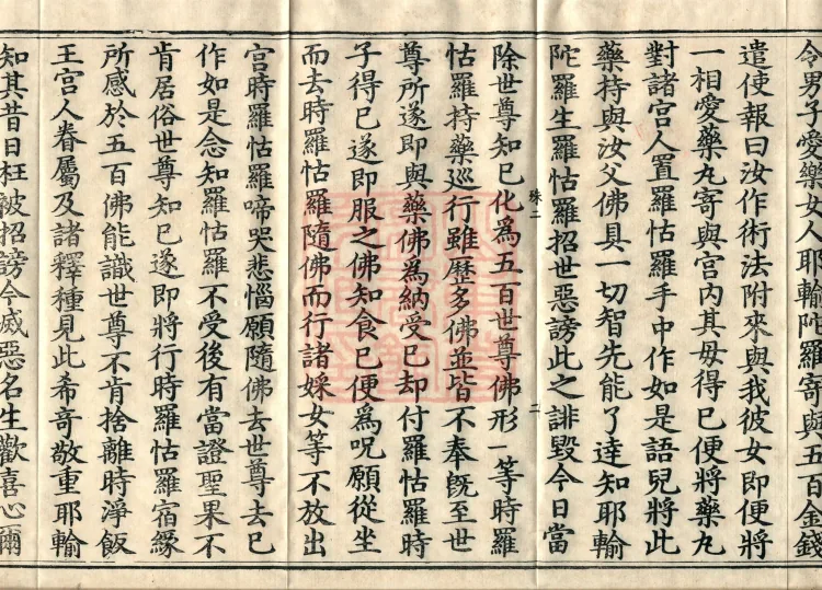 Root Exposition of the Sarvāstivāda Vinaya: Breaking Monastic Matters, Twenty Volumes Page 4