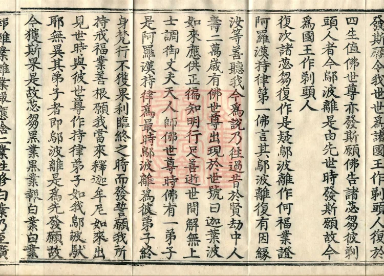 Root Exposition of the Sarvāstivāda Vinaya: Breaking Monastic Matters, Twenty Volumes Page 6