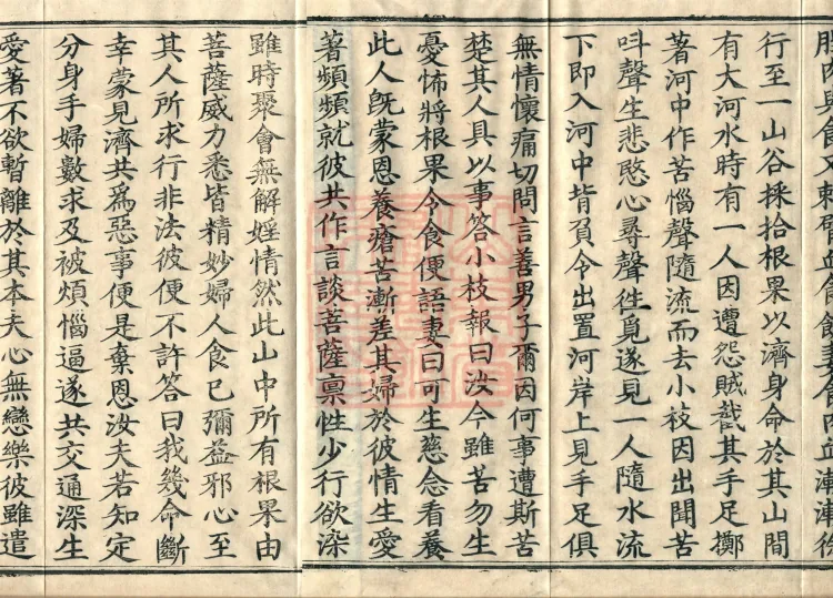 Root Exposition of the Sarvāstivāda Vinaya: Breaking Monastic Matters, Twenty Volumes Page 3