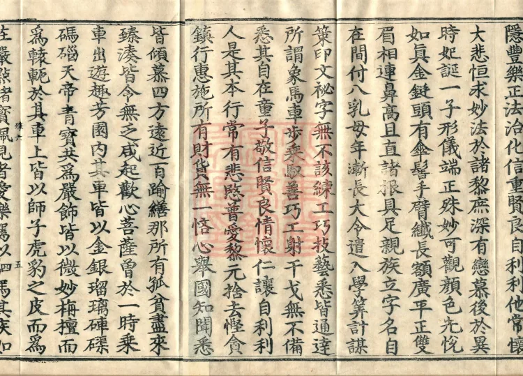 Root Exposition of the Sarvāstivāda Vinaya: Breaking Monastic Matters, Twenty Volumes Page 8