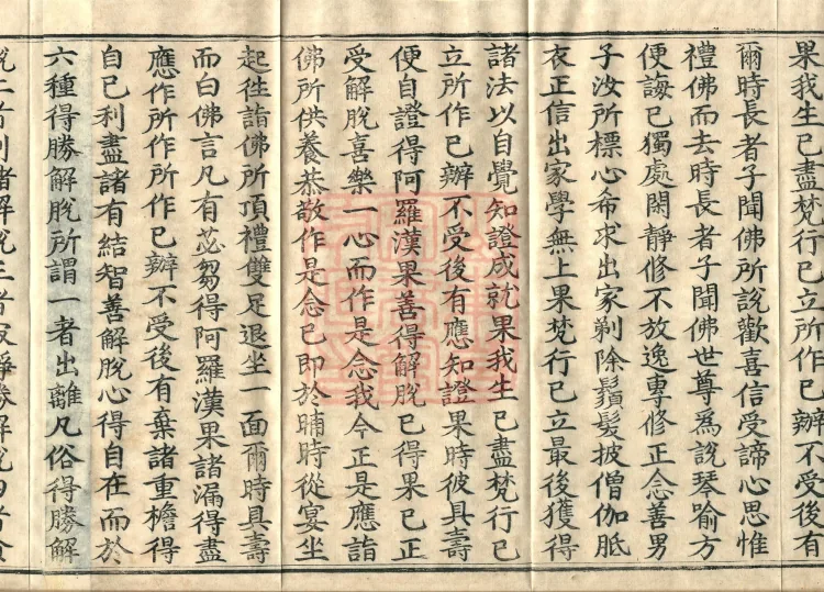 Root Exposition of the Sarvāstivāda Vinaya: Breaking Monastic Matters, Twenty Volumes Page 6