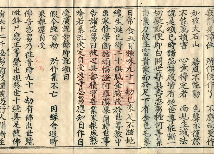 Root Exposition of the Sarvāstivāda Vinaya: Breaking Monastic Matters, Twenty Volumes Page 10