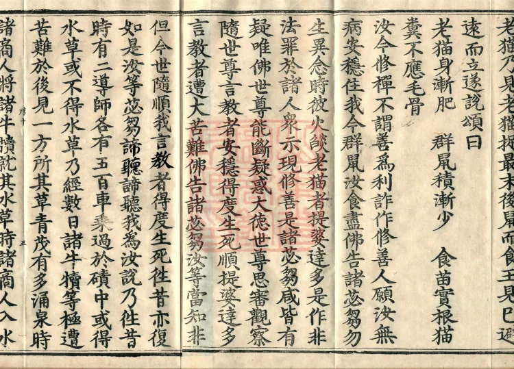 Root Exposition of the Sarvāstivāda Vinaya: Breaking Monastic Matters, Twenty Volumes Page 8