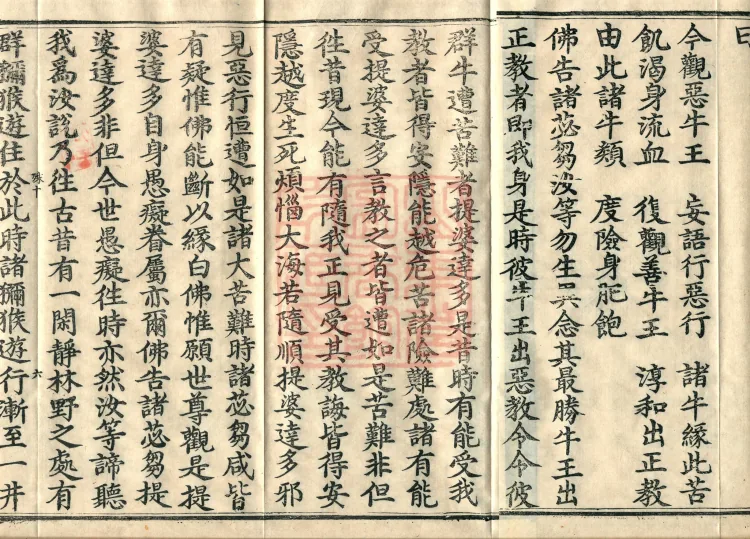 Root Exposition of the Sarvāstivāda Vinaya: Breaking Monastic Matters, Twenty Volumes Page 10