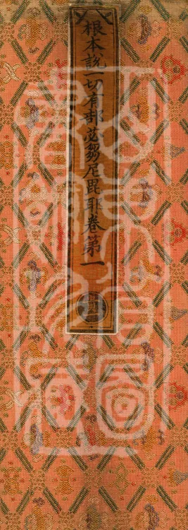Root Exposition of the Sarvāstivāda Bhikṣuṇī Vinaya, Twenty Volumes Page 1