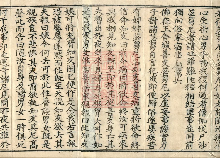 Root Exposition of the Sarvāstivāda Bhikṣuṇī Vinaya, Twenty Volumes Page 3