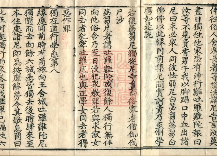 Root Exposition of the Sarvāstivāda Bhikṣuṇī Vinaya, Twenty Volumes Page 5