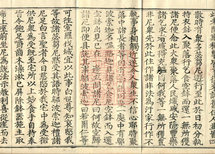 Root Exposition of the Sarvāstivāda Bhikṣuṇī Vinaya, Twenty Volumes Page 3