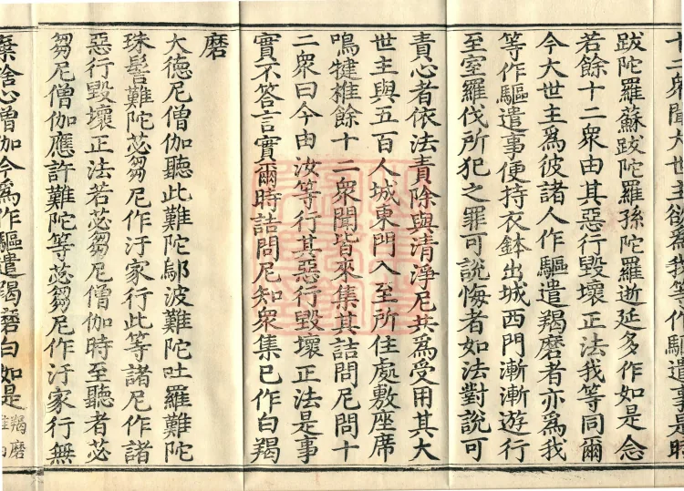 Root Exposition of the Sarvāstivāda Bhikṣuṇī Vinaya, Twenty Volumes Page 6