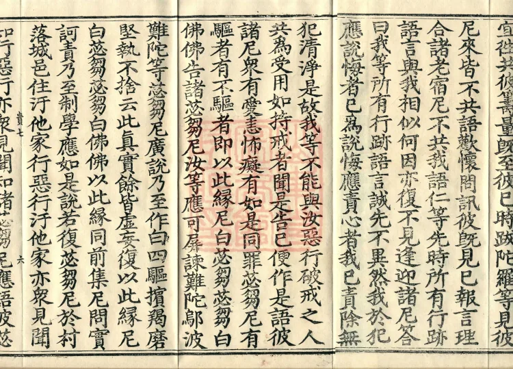 Root Exposition of the Sarvāstivāda Bhikṣuṇī Vinaya, Twenty Volumes Page 10