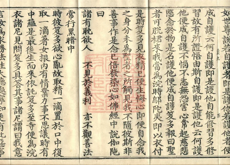 Root Exposition of the Sarvāstivāda Bhikṣuṇī Vinaya, Twenty Volumes Page 9