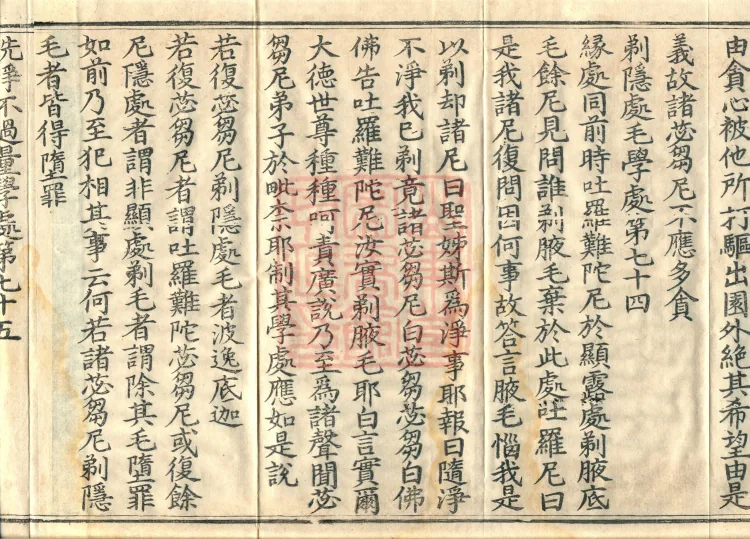 Root Exposition of the Sarvāstivāda Bhikṣuṇī Vinaya, Twenty Volumes Page 6