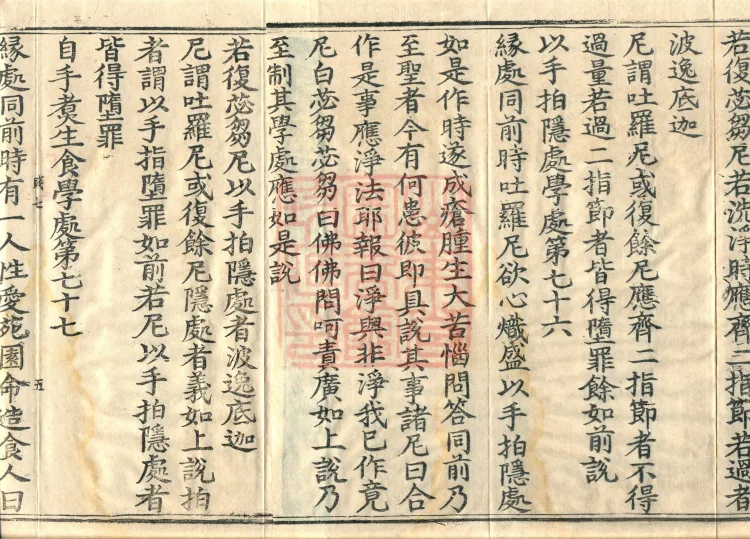 Root Exposition of the Sarvāstivāda Bhikṣuṇī Vinaya, Twenty Volumes Page 8