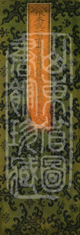 Root Exposition of the Sarvāstivāda Bhikṣuṇī Vinaya, Twenty Volumes Page 1