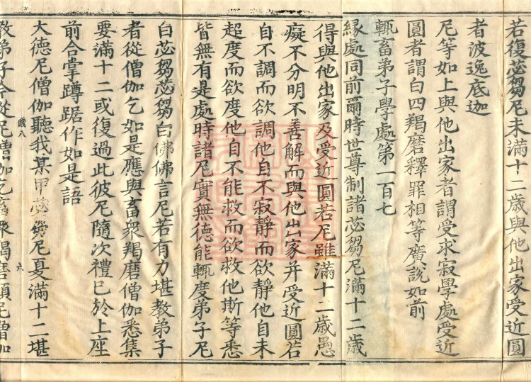 Root Exposition of the Sarvāstivāda Bhikṣuṇī Vinaya, Twenty Volumes Page 10