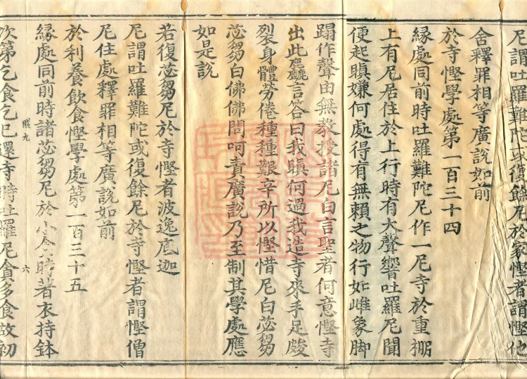 Root Exposition of the Sarvāstivāda Bhikṣuṇī Vinaya, Twenty Volumes Page 10