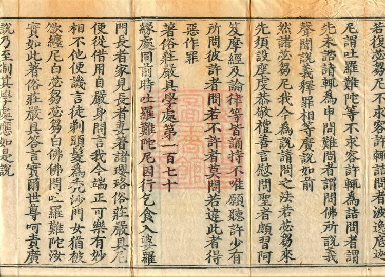 Root Exposition of the Sarvāstivāda Bhikṣuṇī Vinaya, Twenty Volumes Page 3