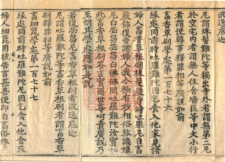 Root Exposition of the Sarvāstivāda Bhikṣuṇī Vinaya, Twenty Volumes Page 8