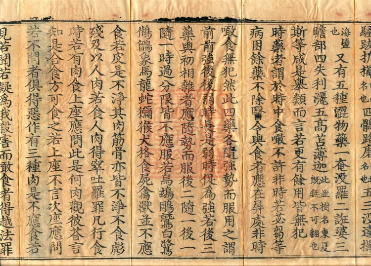 Root Sarvāstivāda Vinaya Collection, Fourteen Volumes Page 6