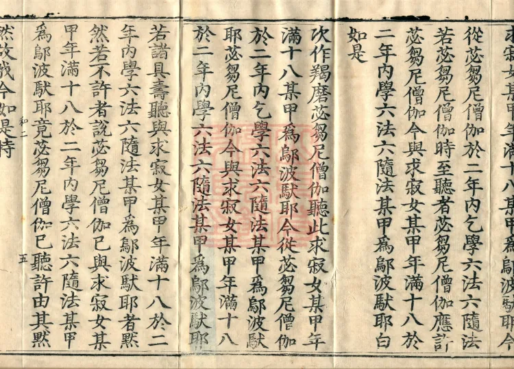 Fundamental Sarvāstivāda One Hundred and One Kamma, ten volumes Page 8