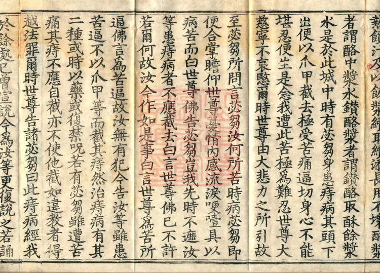 Fundamental Sarvastivada Nidana, Five Volumes Page 6