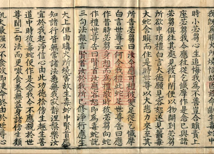 Fundamental Sarvastivada Mudejia, Five Volumes Page 3