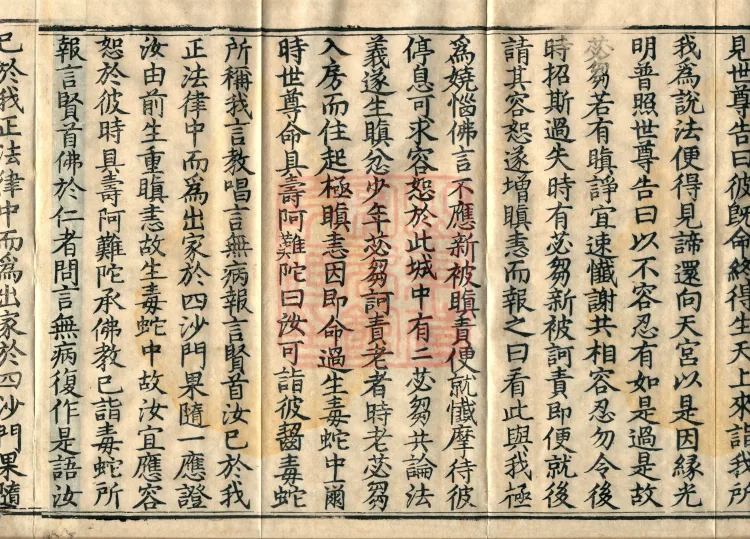 Fundamental Sarvastivada Mudejia, Five Volumes Page 6