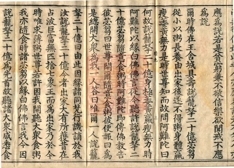 Fundamental Sarvastivada Mudejia, Five Volumes Page 4