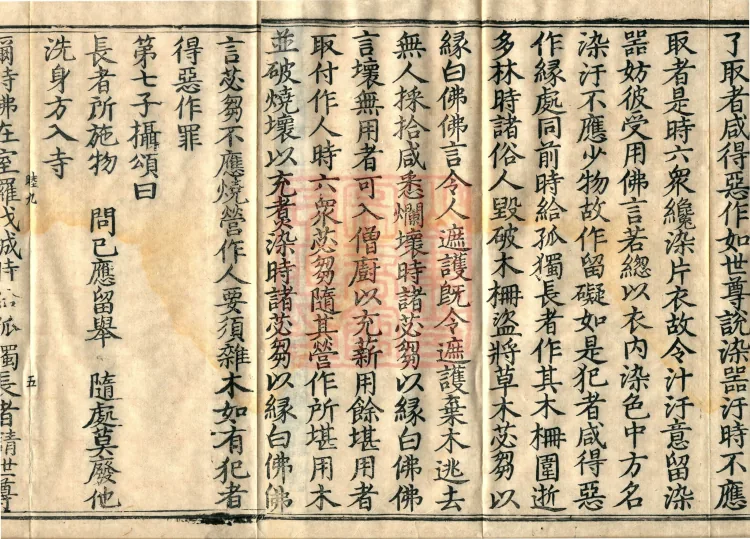 Fundamental Sarvastivada Mudejia, Five Volumes Page 8