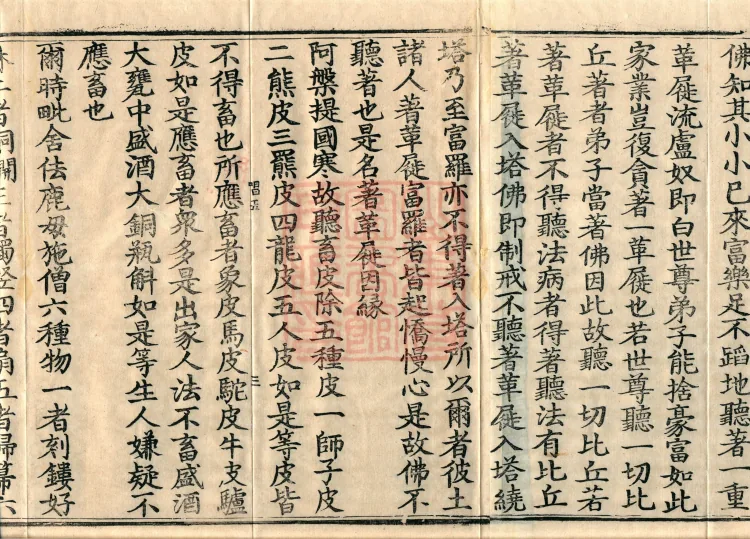 Vinimula Treatise, Eight Volumes Page 5