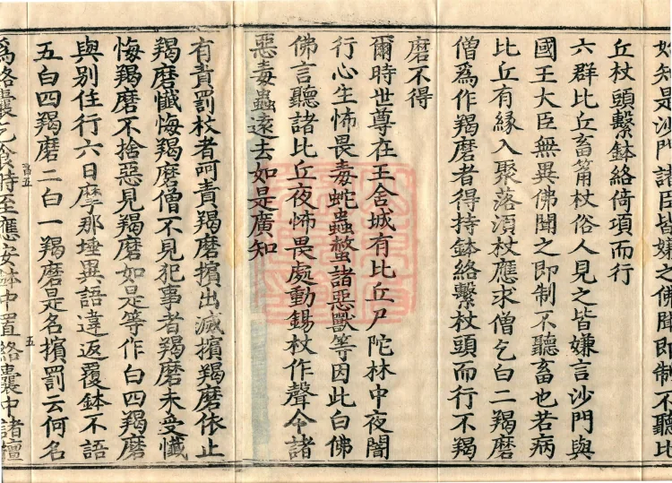 Vinimula Treatise, Eight Volumes Page 8