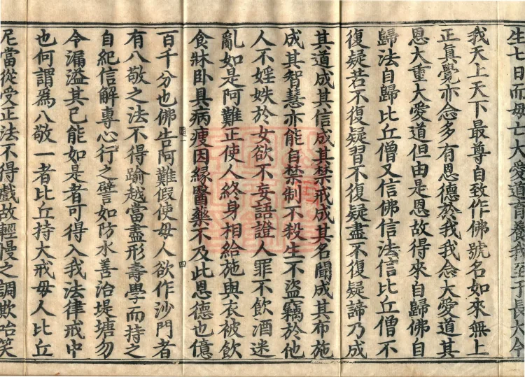 Buddha's Discourse: Sutra of the Great Path for Bhikkhunīs, Two Volumes Page 9