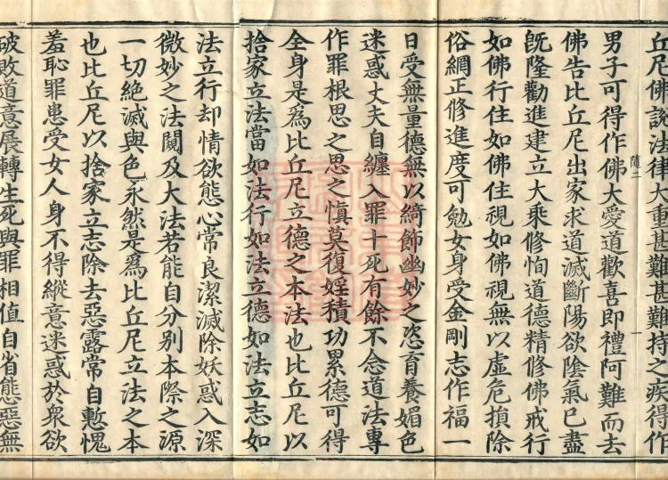 Buddha's Discourse: Sutra of the Great Path for Bhikkhunīs, Two Volumes Page 3