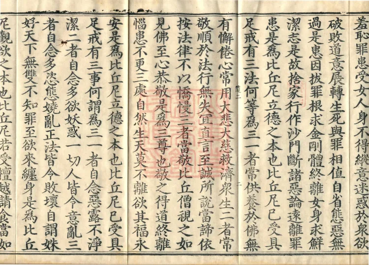 Buddha's Discourse: Sutra of the Great Path for Bhikkhunīs, Two Volumes Page 4