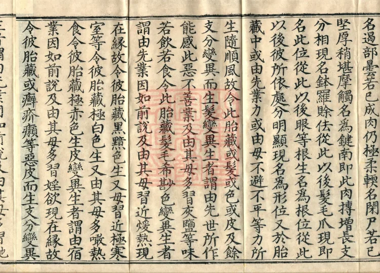 The Treatise on the Stages of Yoga in One Hundred Volumes Page 6