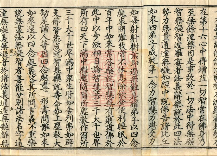 Treatise on the Ten Abodes Vibhāṣā, 15 volumes Page 10