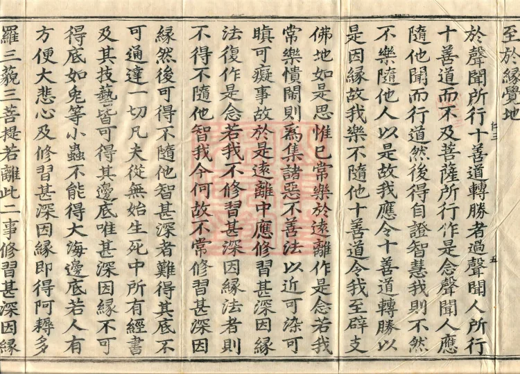 Treatise on the Ten Abodes Vibhāṣā, 15 volumes Page 9