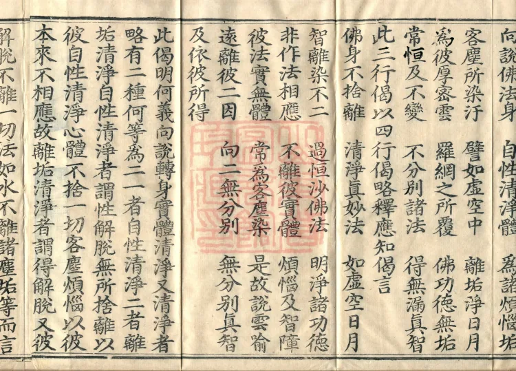 Treatise on the Ultimate One-Vehicle Treasure-Nature (five volumes) Page 6