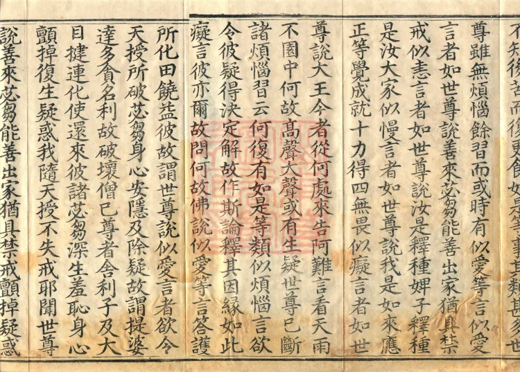 Abhidharma Mahāvibhāṣa (Two Hundred Volumes) Page 3