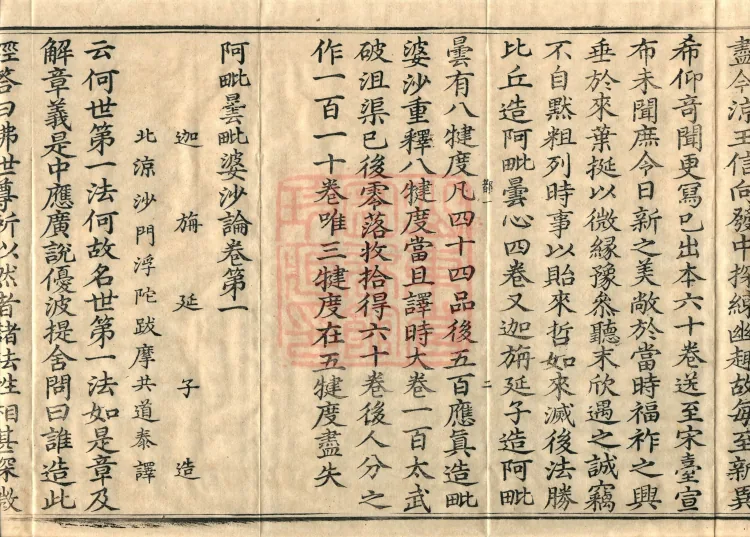Abhidharma Vibhāṣa (Eighty-two Volumes) Page 6