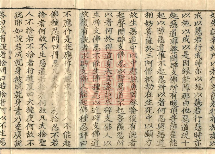 Abhidharma Vibhāṣa (Eighty-two Volumes) Page 8