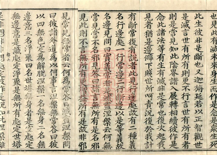 Abhidharma Vibhāṣa (Eighty-two Volumes) Page 8