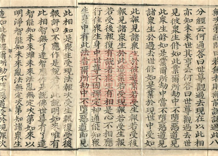 Abhidharma Vibhāṣa (Eighty-two Volumes) Page 8
